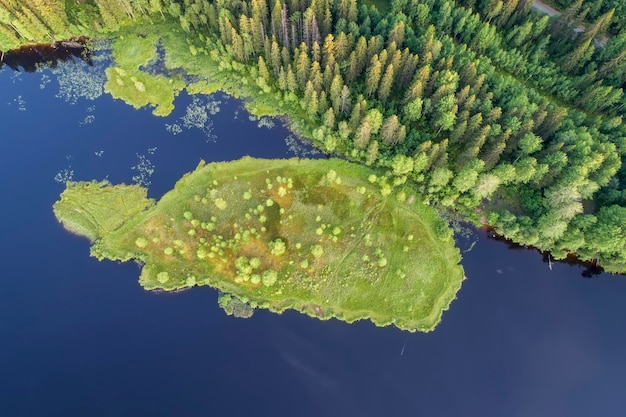 Vista aérea sobre el pintoresco lago Bosques y lagos de Karelia desde arriba