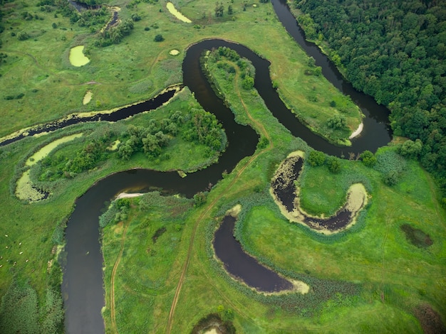 Vista aérea sobre el río que se encuentra en el bosque verde. foto de drone