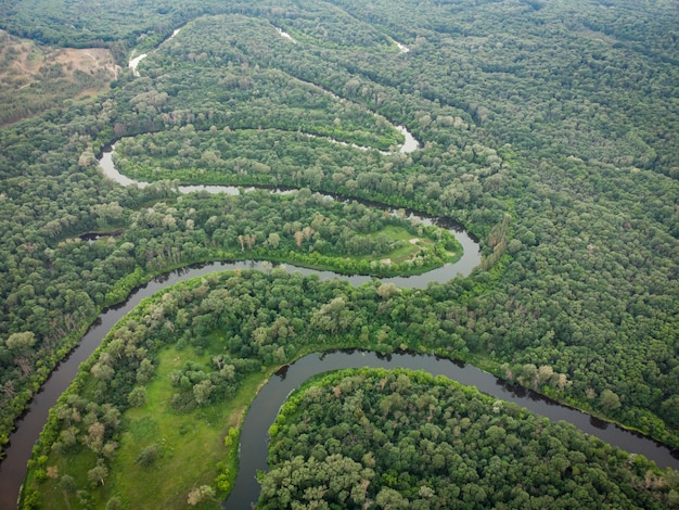 Vista aérea sobre el río que se encuentra en el bosque verde.