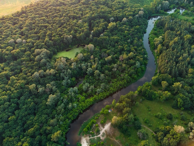 Vista aérea sobre el río que se encuentra en el bosque verde.