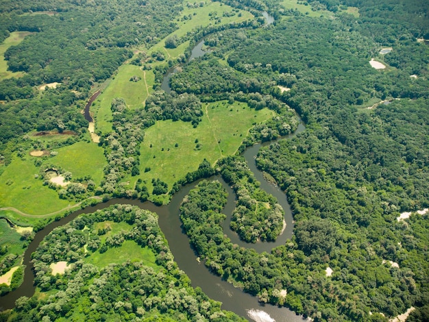 Vista aérea sobre el río que se encuentra en el bosque verde.
