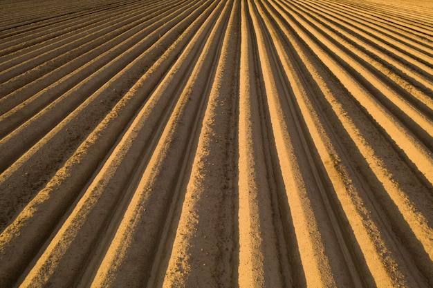 Vista aérea de suelos de alta calidad en el campo. Listo para cultivar. Campo con patatas, raíces.