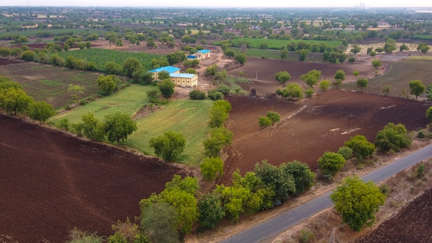 Vista aérea superior del campo agrícola