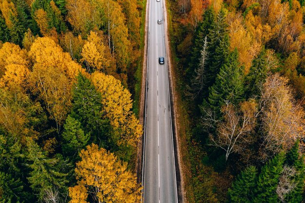 Foto vista aérea superior de la carretera con coche a través del bosque de otoño con hojas coloridas