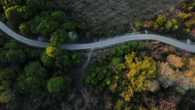 Vista aérea superior de una carretera serpenteante a través de una zona densamente boscosa