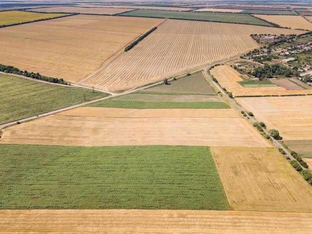 Vista aérea superior do zangão para campos de girassol e trigo