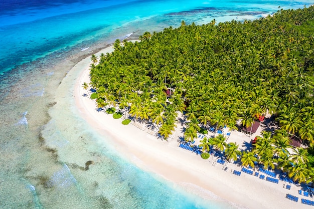 Vista aérea superior de drone de hermosa playa con agua de mar turquesa y palmeras. Isla Saona, República Dominicana. Fondo de naturaleza de isla tropical paraíso.