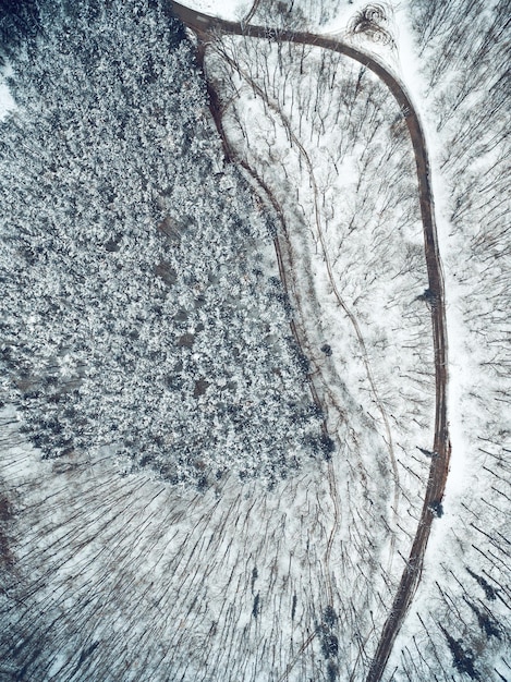 Vista aérea superior de drones de una carretera que atraviesa un bosque nevado en un parque salvaje.