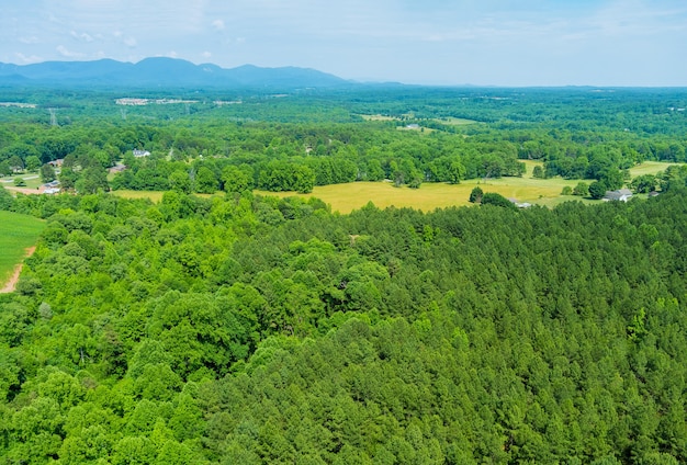 Vista aérea superior del exuberante bosque de árboles verdes desde arriba de las montañas en la ciudad de Campobello