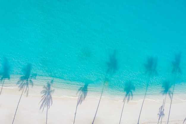 Vista aérea superior praia de areia ensolarada Praia tropical com sombras de palmeiras de mar turquesa de areia branca
