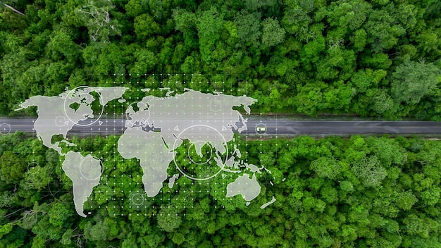 Vista aérea superior de un vehículo eléctrico verde que conduce sobre una carretera forestal recta