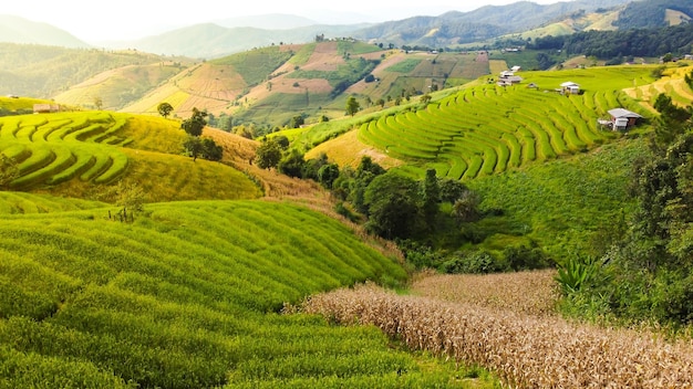 Vista aérea de la terraza de arroz en Ban pa bong piang en Chiang mai, Tailandia