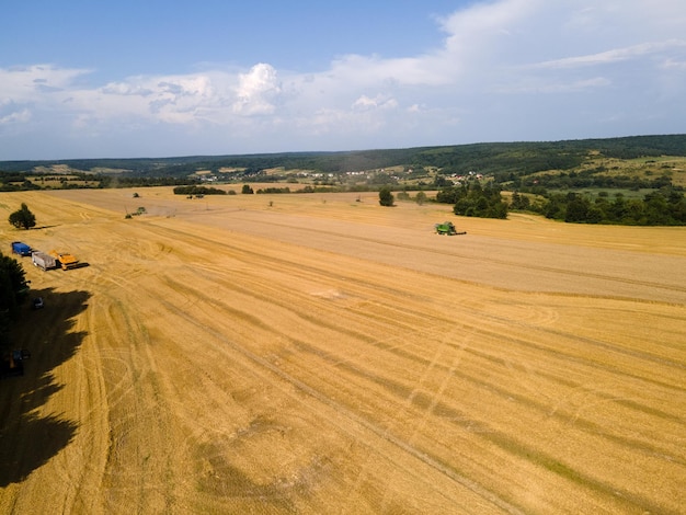 Vista aérea del tiempo de cosecha en el tractor de campo agrícola