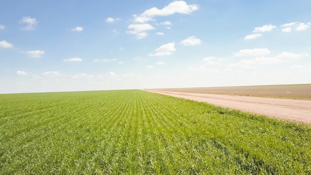 Vista aérea de las tierras de cultivo en las llanuras orientales en la primavera.