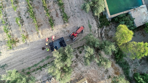 Vista aérea de un tractor recogiendo cajas de uvas en la vendimia