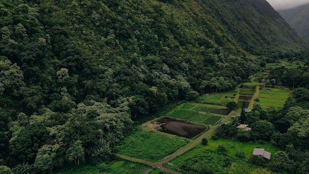 Vista aérea del valle de Waipio en la Isla Grande de Hawai con sus hermosas cascadas envueltas en niebla y nubes.