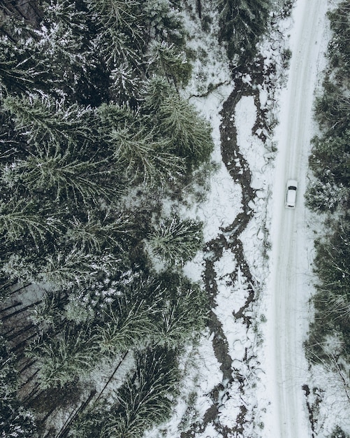 Vista aérea del vehículo todoterreno en el espacio de copia de pista forestal de invierno