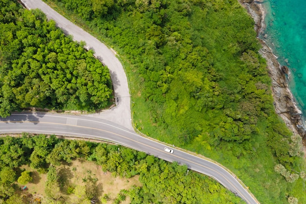 Vista aérea verde árvore e estrada