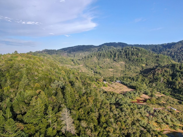 Vista aérea de las verdes colinas con árboles en Napa Valley California USA