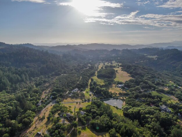 Vista aérea de las verdes colinas con árboles en Napa Valley California USA