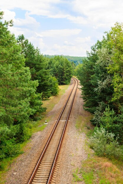 Vista aérea de la vía del tren a través de un bosque de pinos verdes