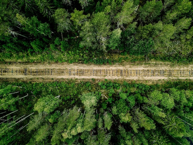 Vista aérea de las vías del tren con bosques verdes de verano y árboles en la Finlandia rural