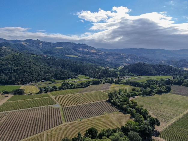 Vista aérea del viñedo de vino en Napa Valley Napa County en California's Wine USA