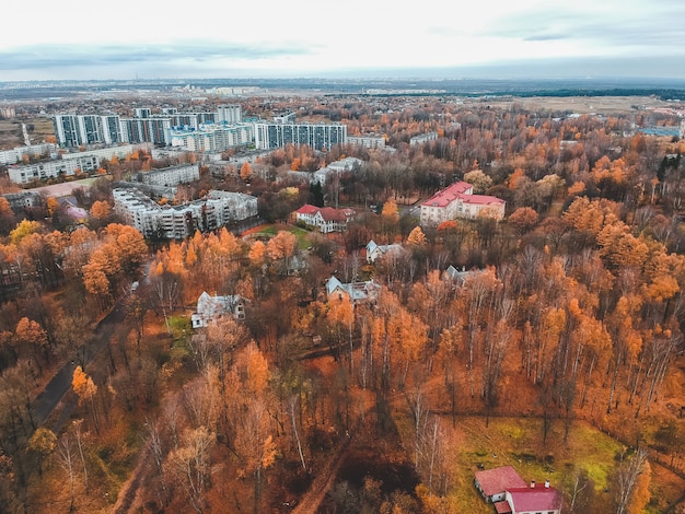 Vista aérea de viviendas suburbanas en el bosque de otoño. San Petersburgo, Rusia.