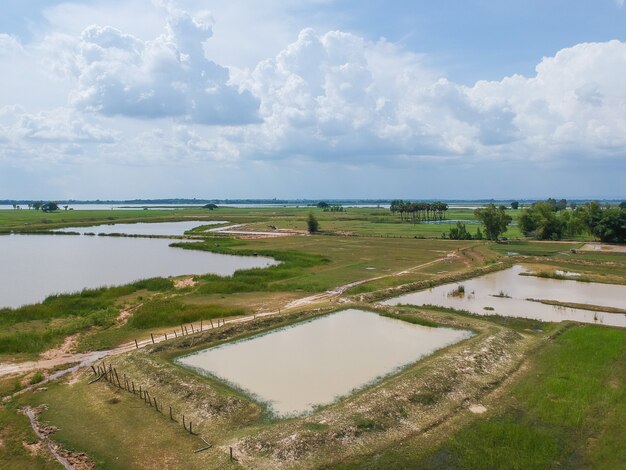 Vista aérea: Volando desde el campo de arroz de Tailandia.