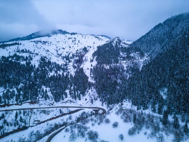 Vista aérea de Woodlands Blue Hour Día de invierno en Giresun Turquía