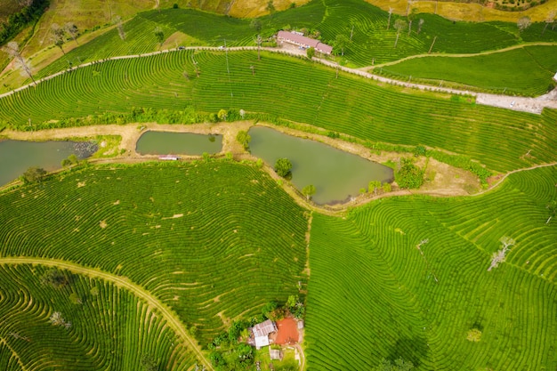 Vista aérea de la zona agrícola.