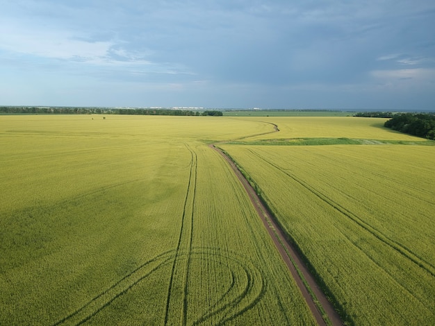 Vista aérea de una zona rural verde con carretera