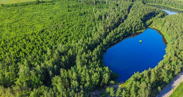 Vista aérea de un zumbido de un lago en un bosque