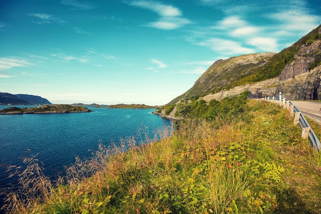 Vista al fiordo Playa rocosa Hermosa naturaleza Noruega Islas Lofoten El camino a lo largo del fiordo