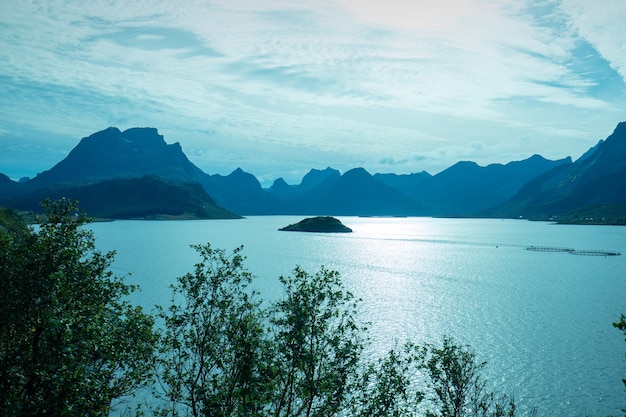 Vista al fiordo Playa rocosa Hermosa naturaleza Noruega Islas Lofoten Paisaje de montaña de color azul por la noche