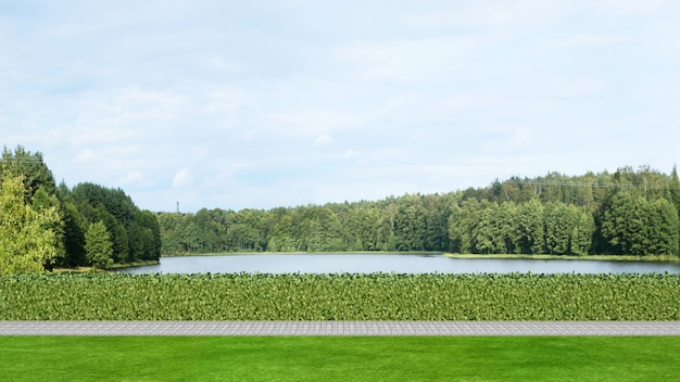 Vista al lago en el parque - 3d rendering