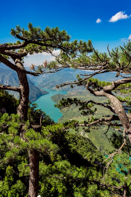 Vista al lago Perucac y al río Drina desde la montaña Tara en Serbia