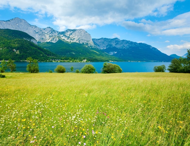 Vista al lago de verano alpino