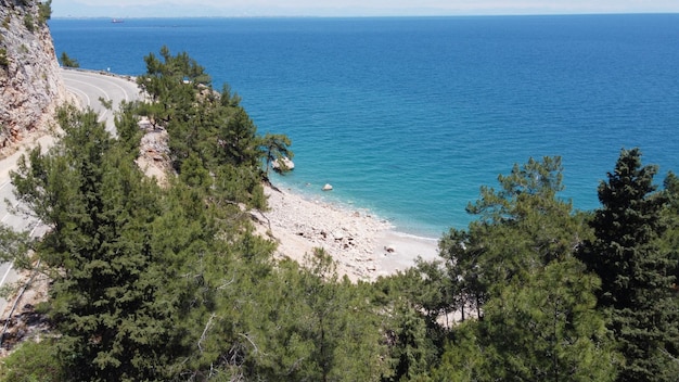 Foto vista al mar en el bosque