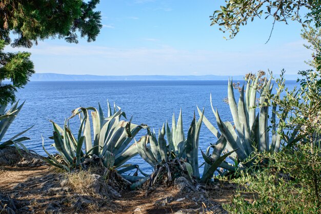 Foto vista al mar en croacia