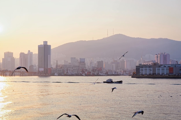 Vista al mar con hermosa puesta de sol fuera del mercado de Jagalchi, Busan, Corea del Sur