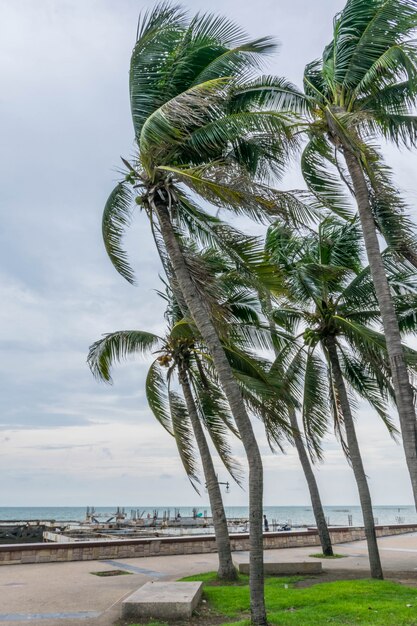 Vista al mar de Phuket