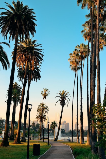 Vista al parque del centro de Los Ángeles con palmeras.