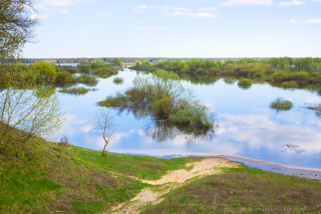 Vista al río y al prado en un día despejado