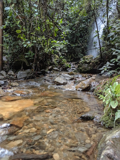 Foto vista al río en las montañas