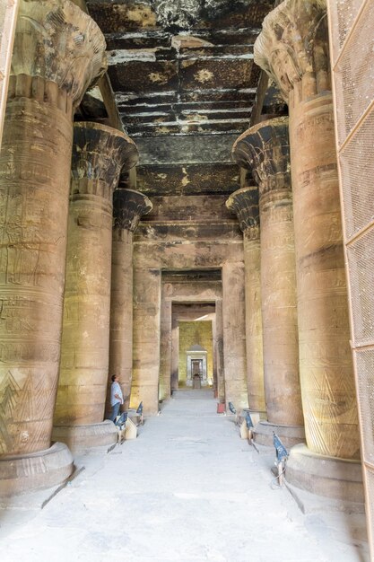 Foto vista al templo de edfu