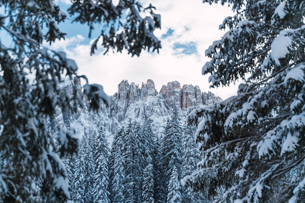 Vista de los Alpes después de una fuerte nevada desde el medio de un bosque