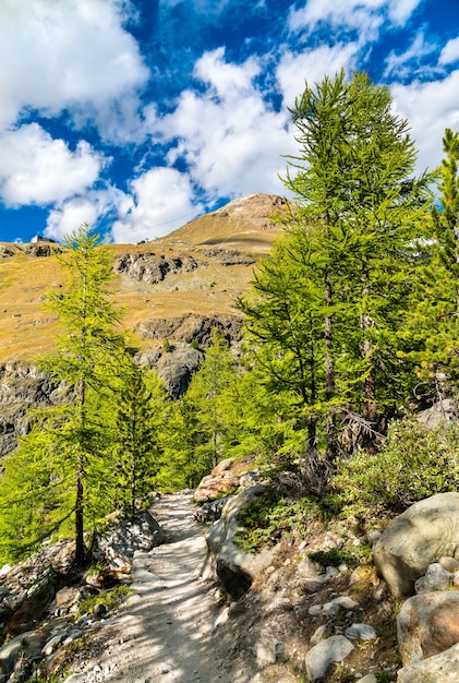 Vista de los Alpes suizos cerca de Zermatt