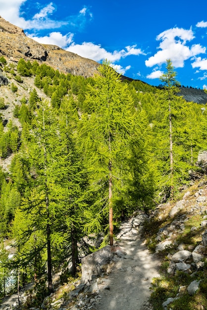 Vista de los Alpes suizos cerca de Zermatt