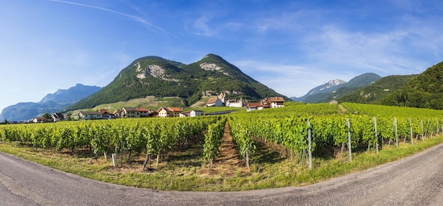 Vista de los alrededores del Castillo de Aigle